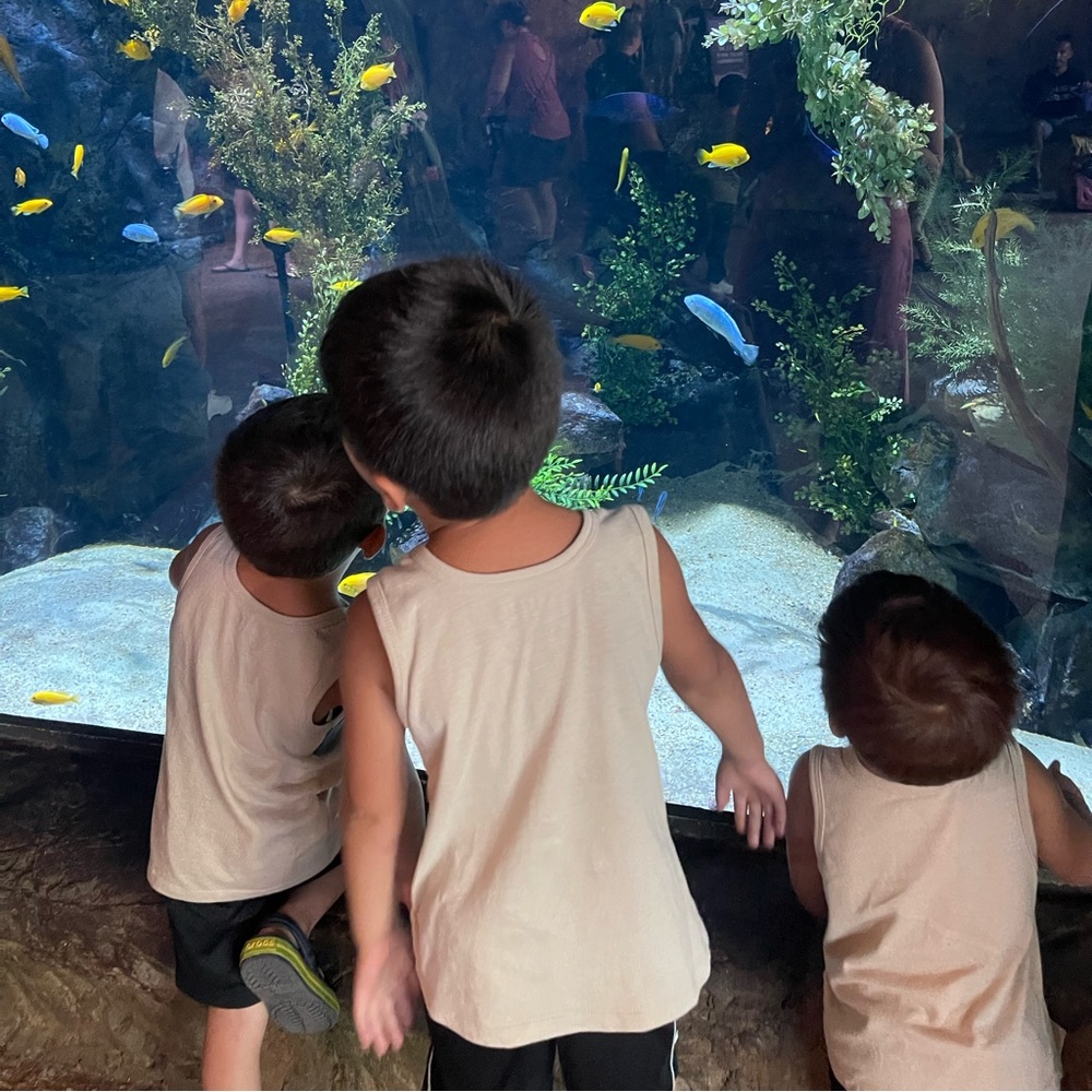 Meet your Posher, Hayli